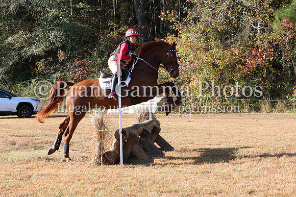 aIMG_2473