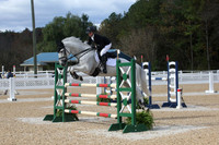 VF0L2010