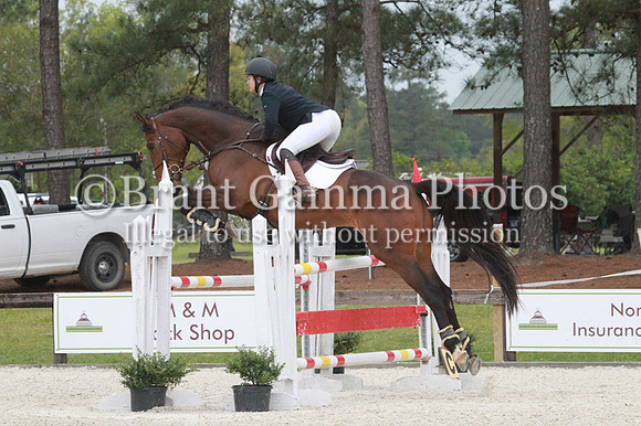 LL2P0673