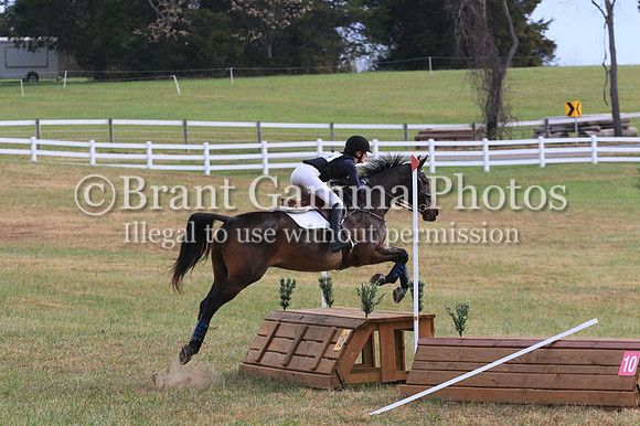 VF4B5406