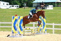 VS1L5917