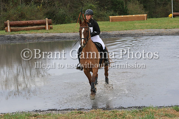 VF4B6295