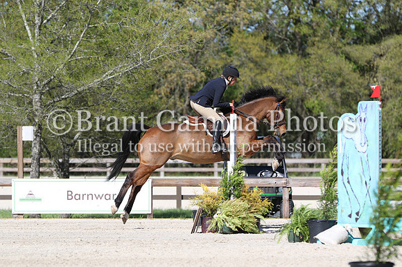 LL4Q1611