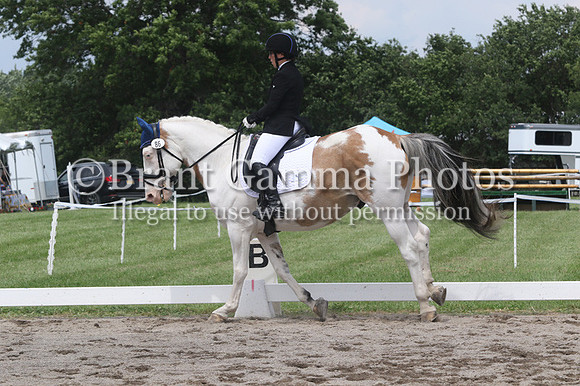 GV4P1193