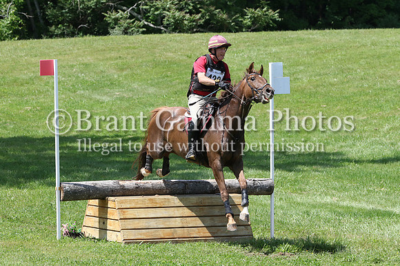 VS2C8787