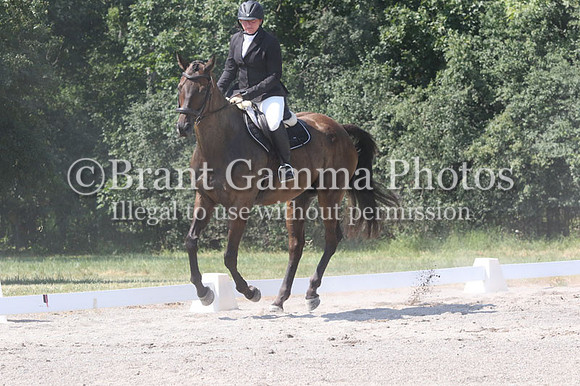 GV5P2325