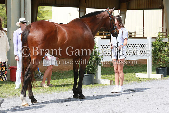 FINN0275