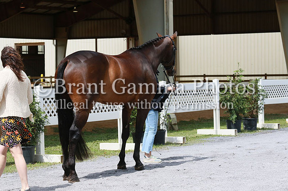 FINN0115