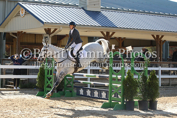VF4L2462