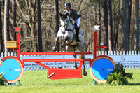 CI2B2010