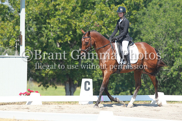 GV2B0498