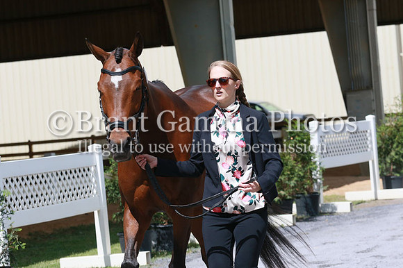 FINN0259