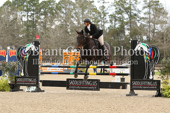 CI5Q3731