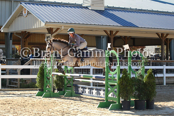VF4L1577