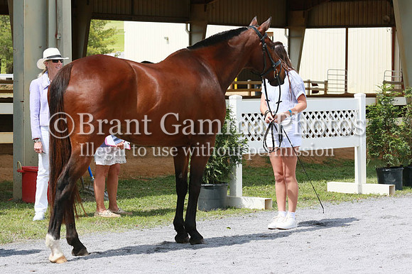 FINN0277