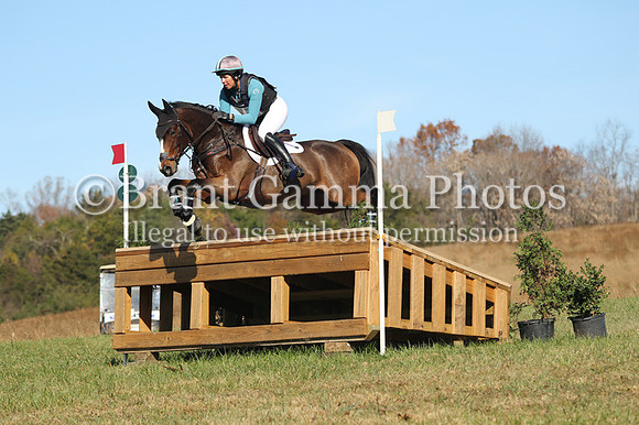 VF4Z0384