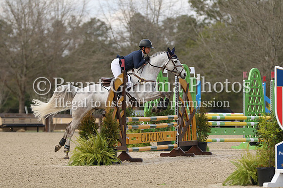 CI5Q5244