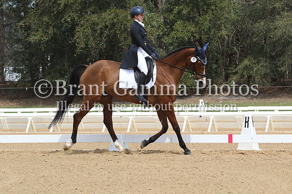 CI5P2633