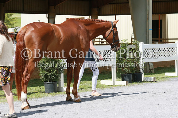 FINN0263