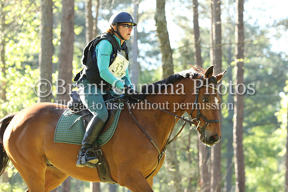 LL4Q2242