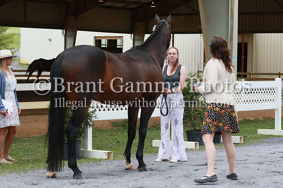 FINN0232