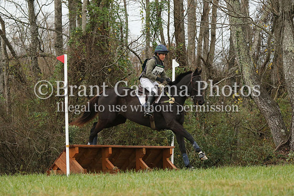 VF4Z8311