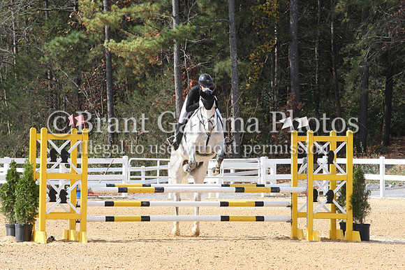 VF4L3244