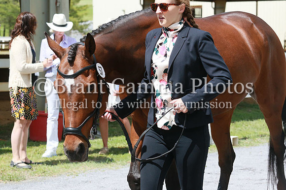FINN0261