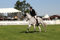 CI2B1799