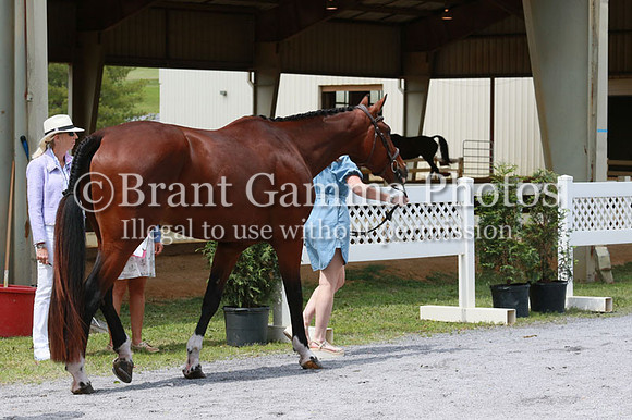 FINN0162