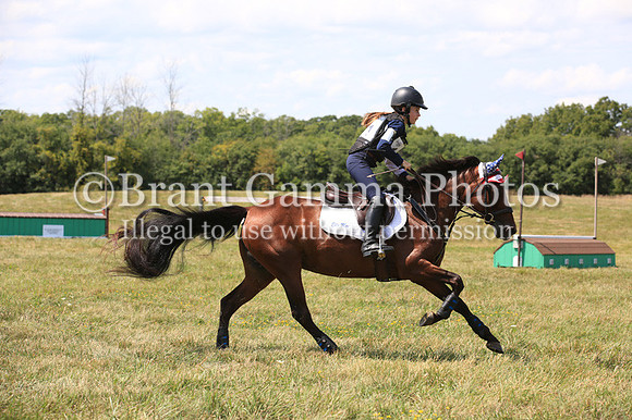 213A1218