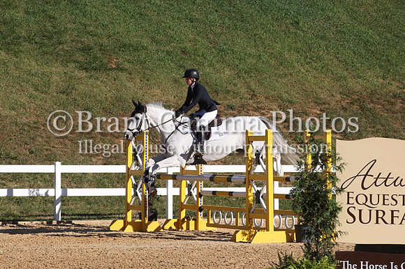 VF4L1343