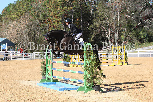 aVF4L2009