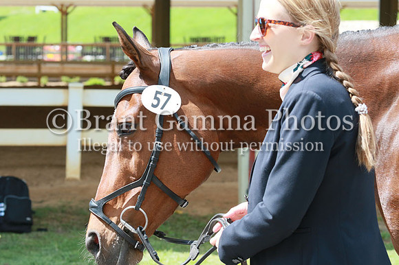 FINN0262