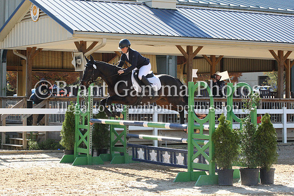 VF4L2238