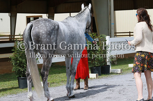 FINN0202