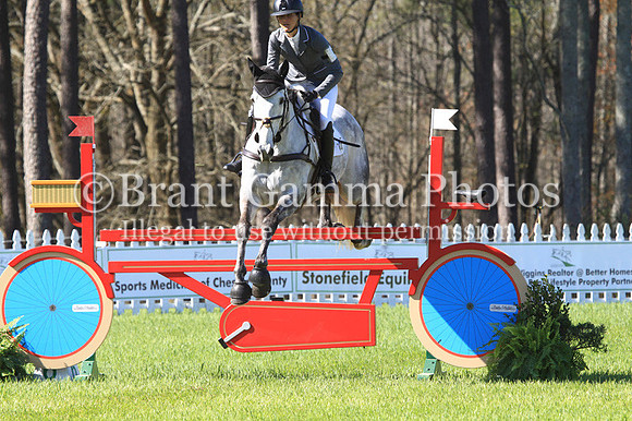 CI2B2011