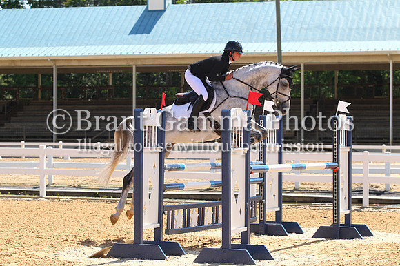 VS2P2233
