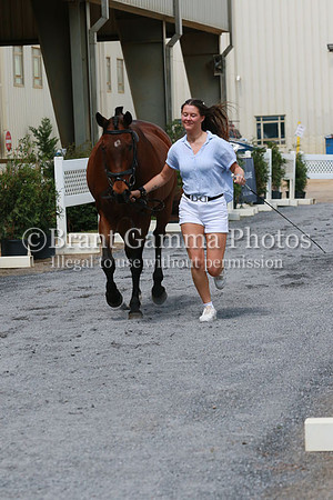 FINN0281