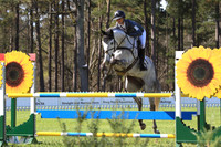 CI2B2013