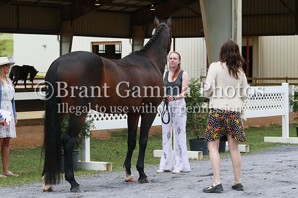 FINN0231