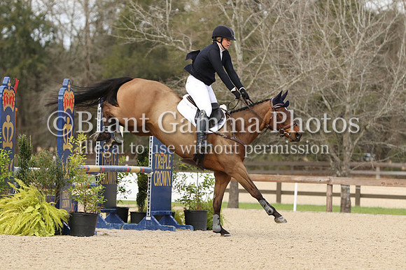 CI5Q5308