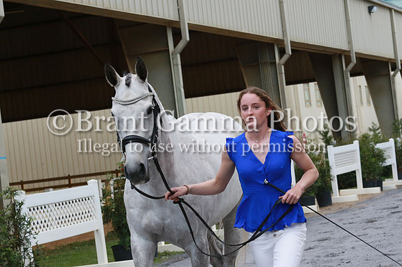 FINN0229