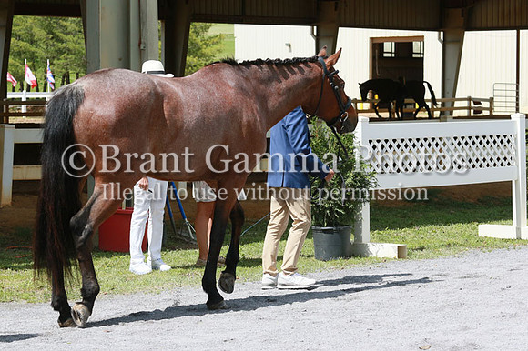FINN0244