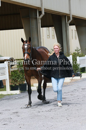 FINN0119
