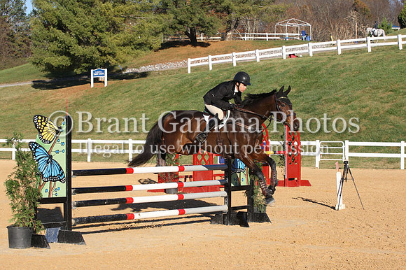 VF4L0372